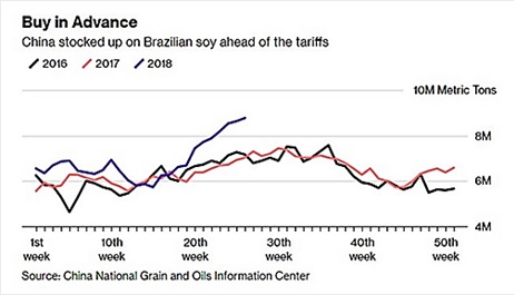 China stocked up on Brazilian Soy ahead of tariffs