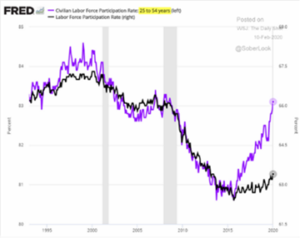 Labor Force Participation Rate 1995-2020