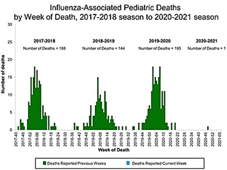 Influenza-Associated Pediatric Deaths