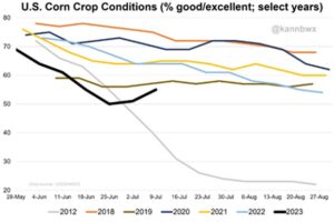 U.S. Corn Crop